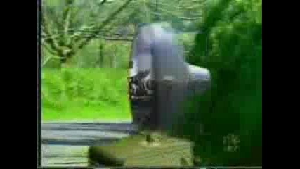 Щури Моменти С Превозни Средства!!!