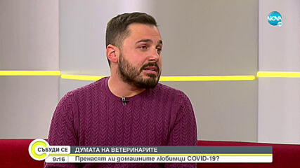 ДУМАТА НА ВЕТЕРИНАРИТЕ: Пренасят ли домашните любимци COVID-19?