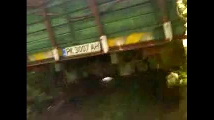 Виетнамка. След дъжд в гората 2 