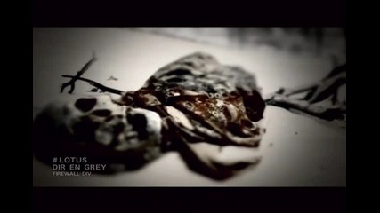 Dir En Grey - Lotus (pv)