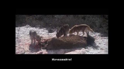 Планинецът (1980) част 2 бг субс The Mountain Men (1980) part 2 bg subs