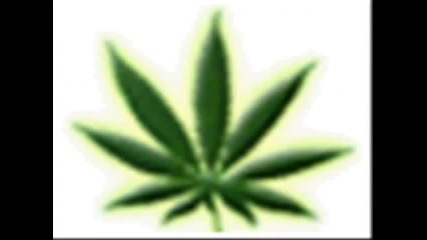 King Size - Puf paf