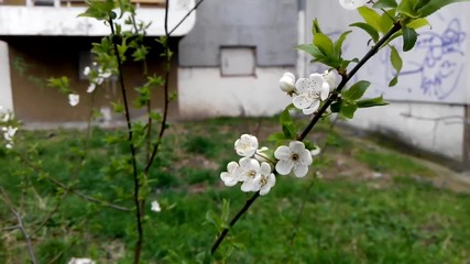 Vid_20150403_124453