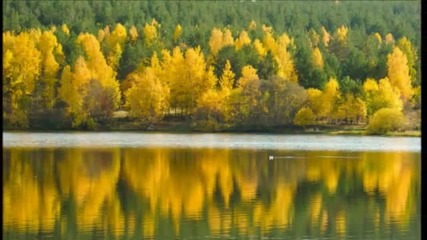 Красотата на есените багри - Gheorghe Zamfir-the Colors Of Autumn