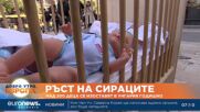 За една година: 14 бебета в Унгария са били изоставени в обществени инкубатори