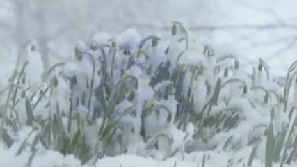 Заскрежена Нежност - Secret Garden - Snow-covered Tenderness