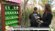 Боядисване на яйца в зоопарка в Бургас