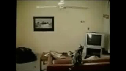 Компилация от смешни случки