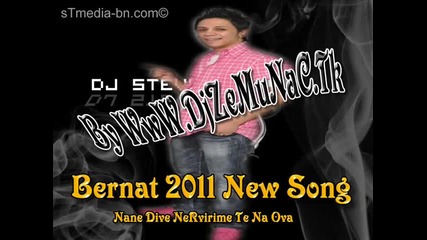 Bernat New Song 2011 - Nane Dive Nervirime Te Na Ova - By Www.djzemunac.tk.wmv 