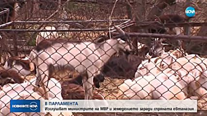 В ПАРЛАМЕНТА: Изслушват министрите на МВР и земеделието заради спряната евтаназия