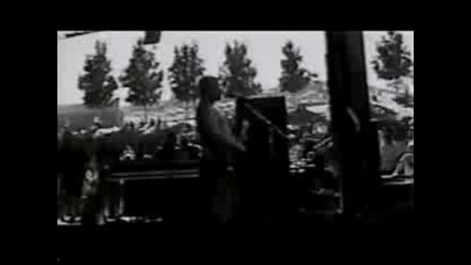 Sublime - Bad Fish (live)