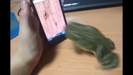 Жаба играе на телефон.