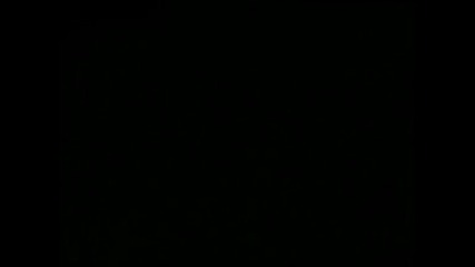 tmnt epizod 8 bg audio 1 3
