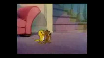 tom and jerry(kitty Foiled)