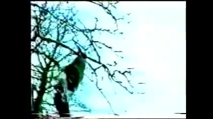 Immortal - Benny Hill 