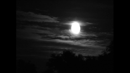 Mary Goes Round - The Night