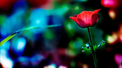 Fimos - Flower Of Life (original Mix)