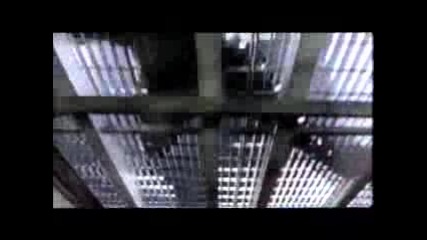 Alice Cooper - Bed Of Nails.flv