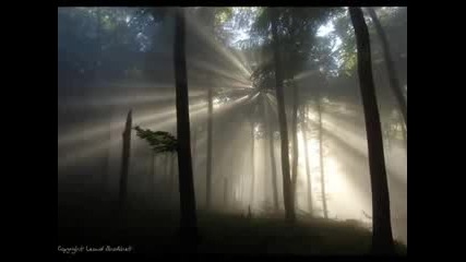Akcent - Stay With Me