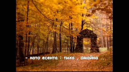 мечта 