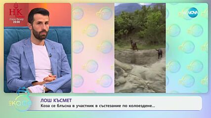Лош късмет: Коза се блъсна в участник в състезание по колоездене - „На кафе“ (14.05.2025)