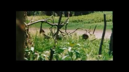 Cannibal Holocaust 1980 - Djefera