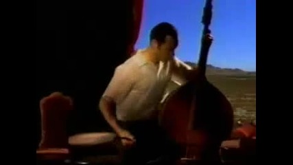 The Geraldine Fibbers - Dragon Lady