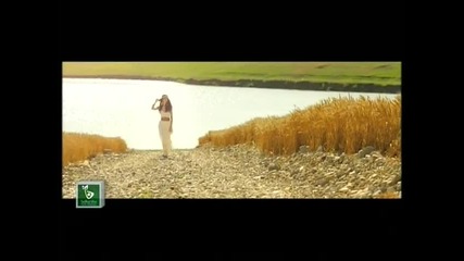 Tom Boxer - Summertime