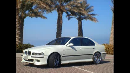 M5 Hamann - Lyda rabota
