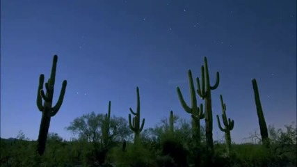 Night Waves - Mountains