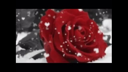 Winter_song...by_sd