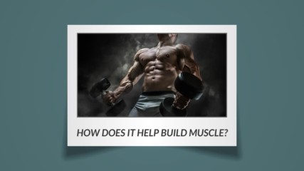 How Creatine Helps Build Muscle and Increase Strength