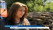 Все повече хора се запасяват с дърва заради поскъпването на тока - Новините на Нова