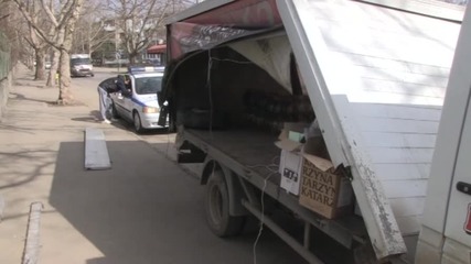 Криво дърво в Русе причини инцидент