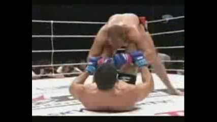 Fedor - Minotauro & MetallicA