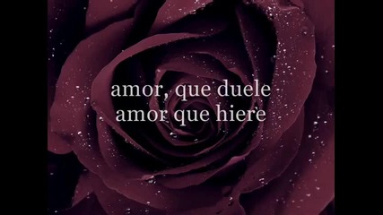 Miriam Hernandez - Peligroso Amor lyrics