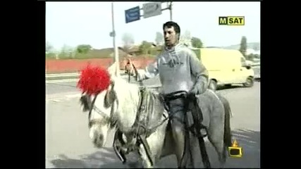 Ром си търси конете из града - Господари на ефира 