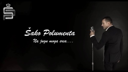 !!! Sako Polumenta - Na jugu moga srca (audio 2015)