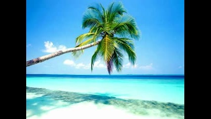 Black Pearl - Coral Sea