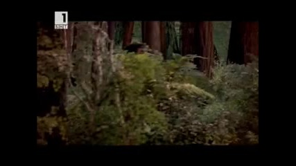 Червената шапчица част 3 bg audio