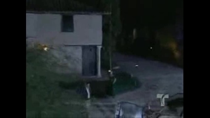 Zorro - shpagata i rozata mix 