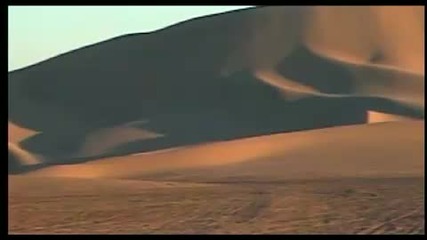 Sting - Desert Rose