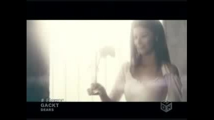 Gackt - Flower