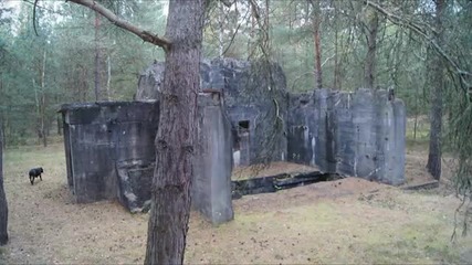 Im Bunker Wunderwald der Wehrmacht