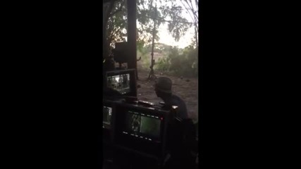 Легендата Жан - Клод Ван Дам прави ритник по време на снимките на филма си Кикбоксьор (2016)