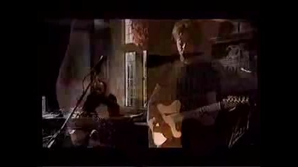 Sting - Fields of Gold