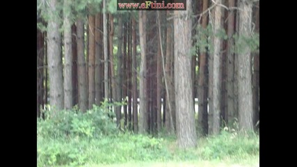 Wrc България 2010 - Пещера - Weijs