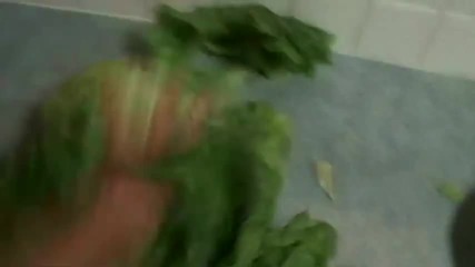 Как да си направим Салата
