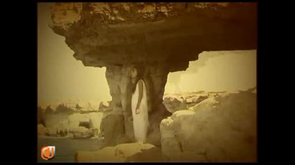 Елена Ваенге Дорогая длинная