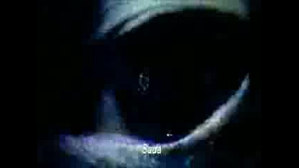 Cursed Video...